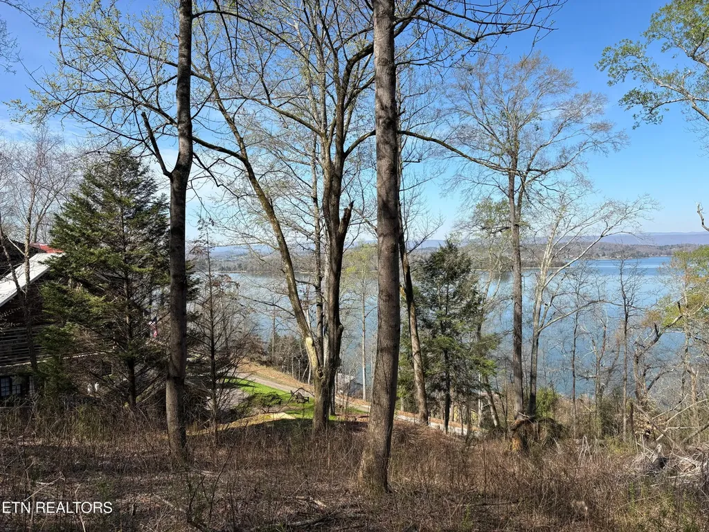 38 Johnson Lane Ten Mile TN 37880