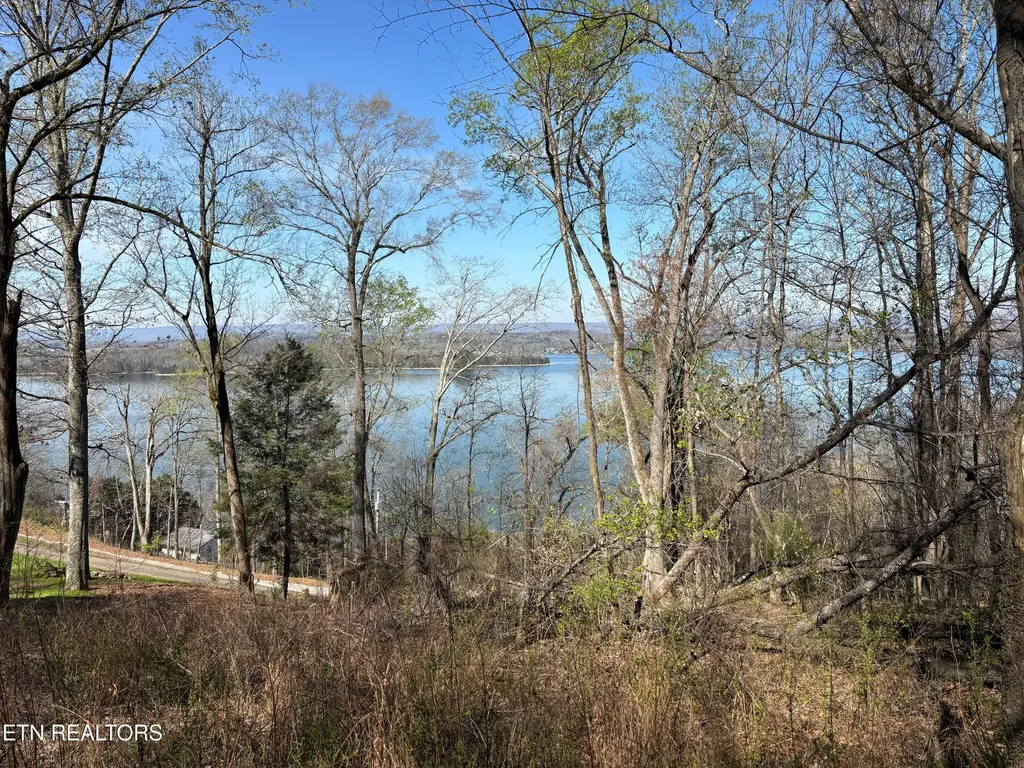 38 Johnson Lane Ten Mile TN 37880