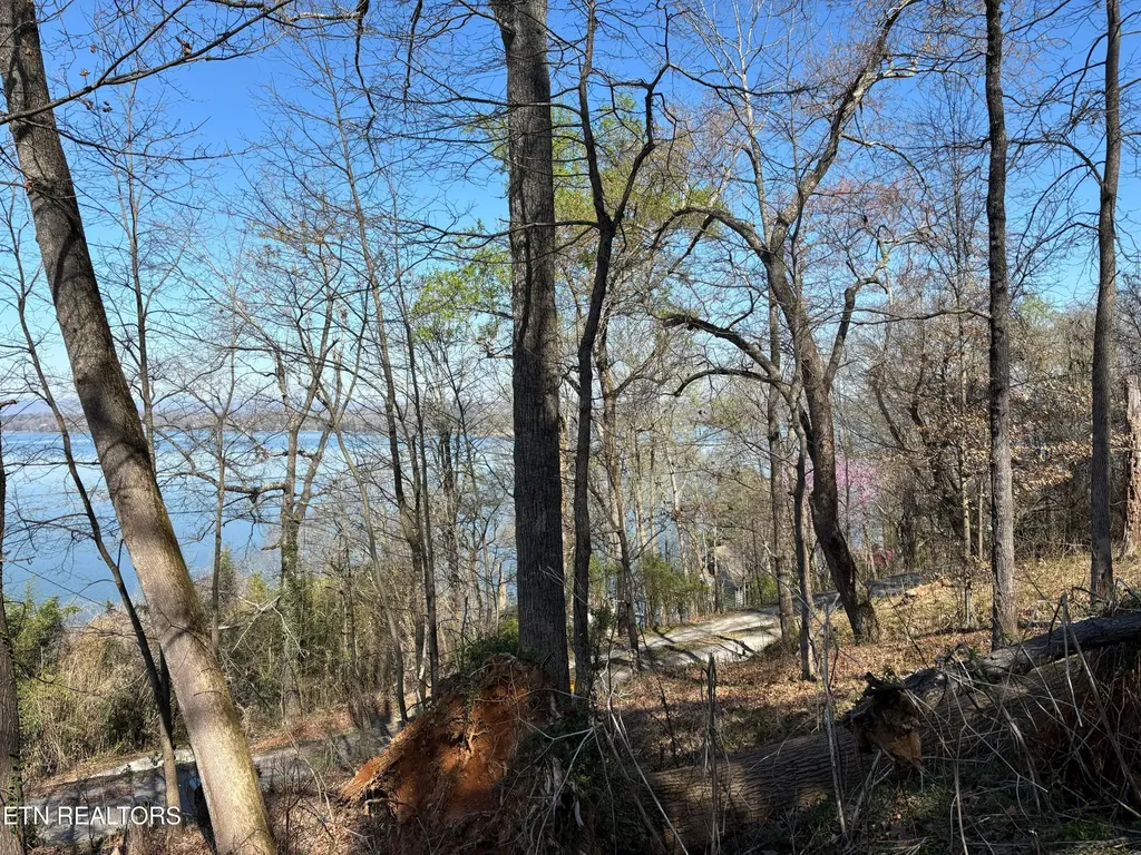 38 Johnson Lane Ten Mile TN 37880