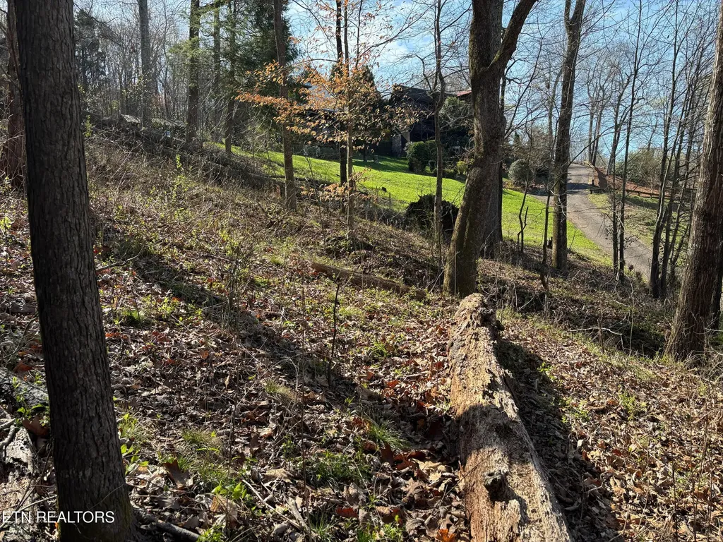 38 Johnson Lane Ten Mile TN 37880