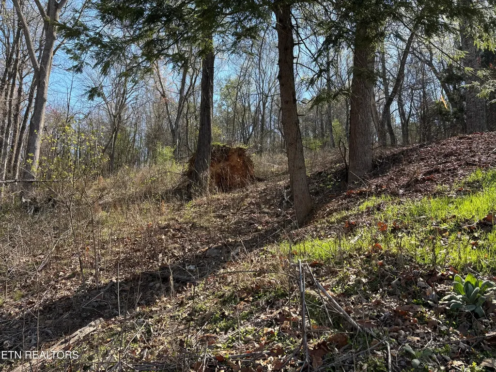 38 Johnson Lane Ten Mile TN 37880
