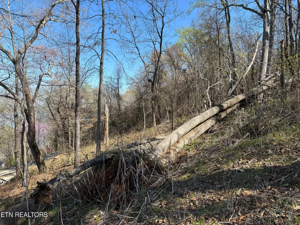 38 Johnson Lane Ten Mile TN 37880