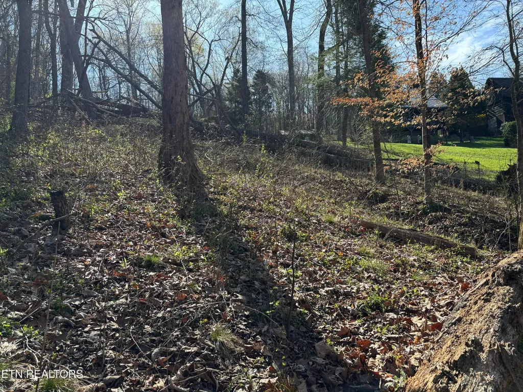 38 Johnson Lane Ten Mile TN 37880