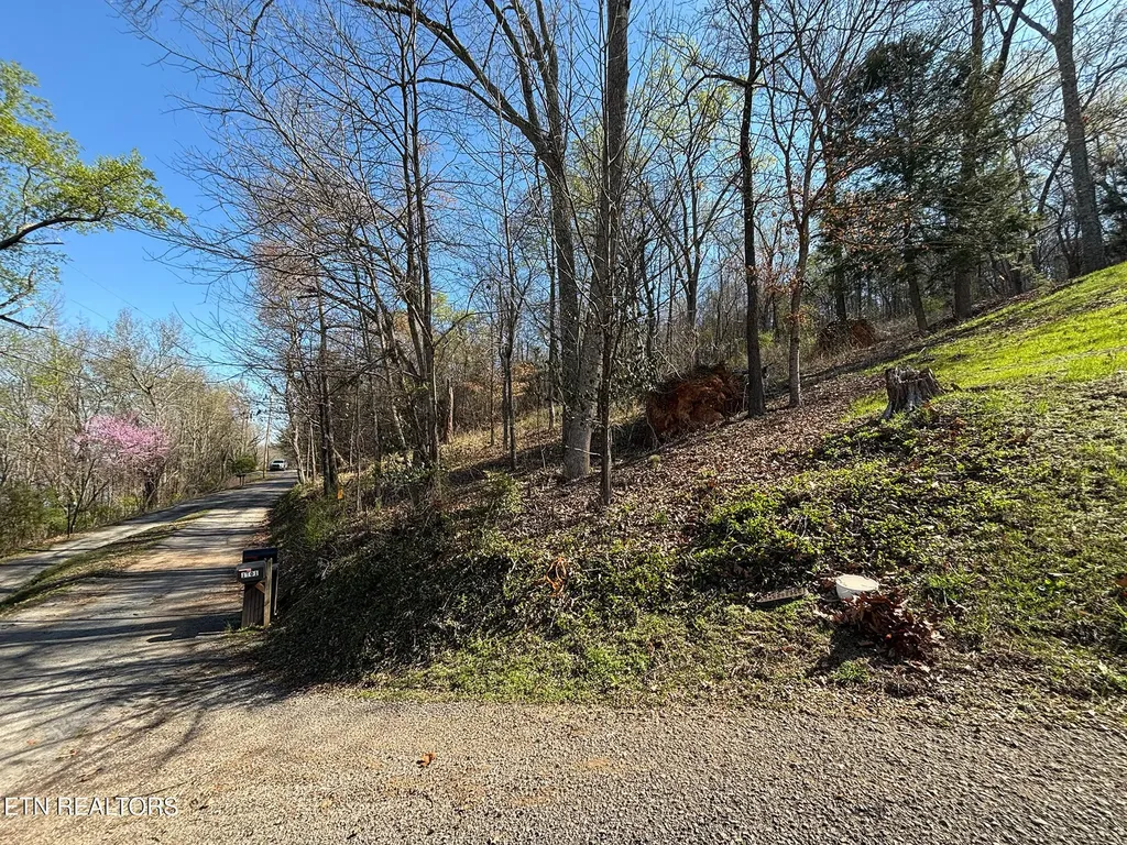 38 Johnson Lane Ten Mile TN 37880
