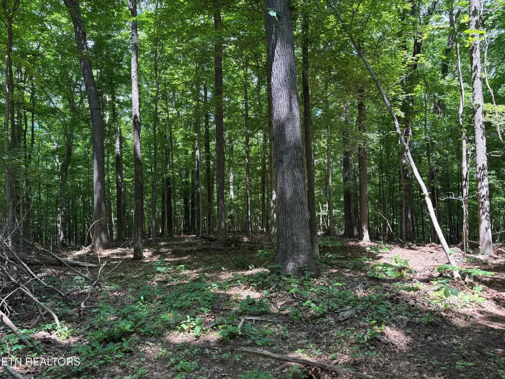 361365 County Road 38 Riceville TN 37370