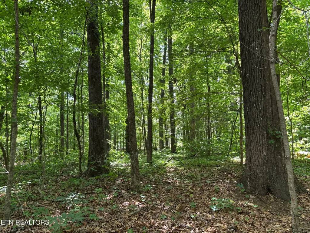 361365 County Road 38 Riceville TN 37370