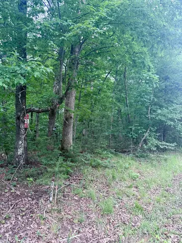 0 Deep Woods Road Sewanee TN 37375