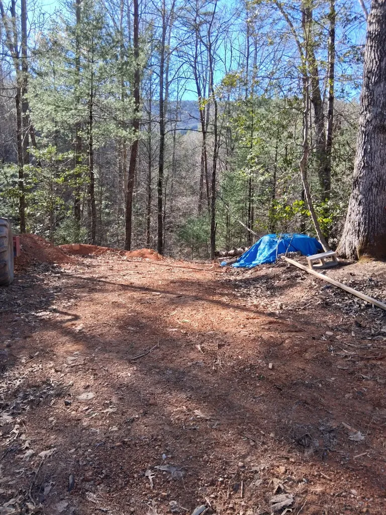 0 Tinker Branch Road Reliance TN 37369