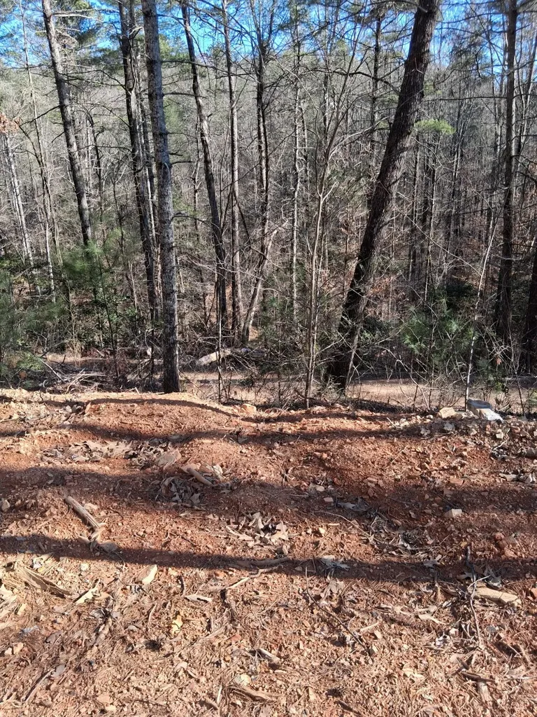 0 Tinker Branch Road Reliance TN 37369