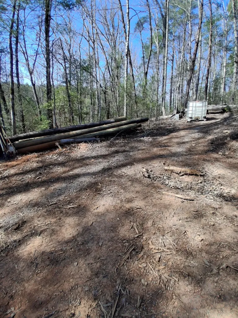 0 Tinker Branch Road Reliance TN 37369