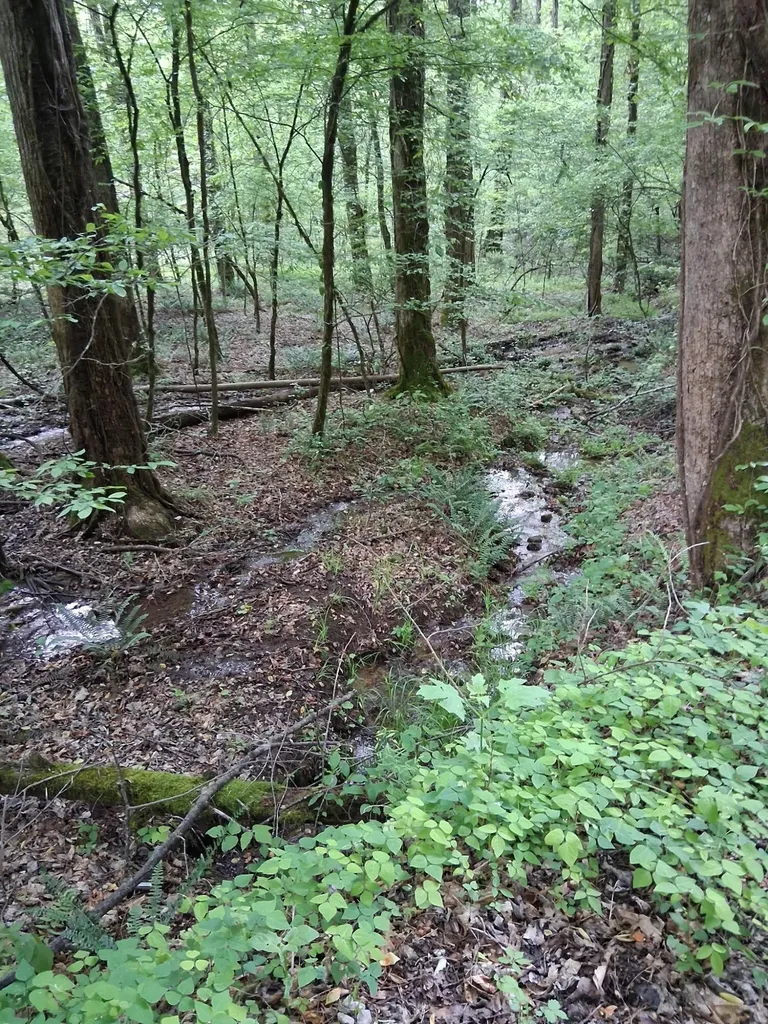 0 Tinker Branch Road Reliance TN 37369