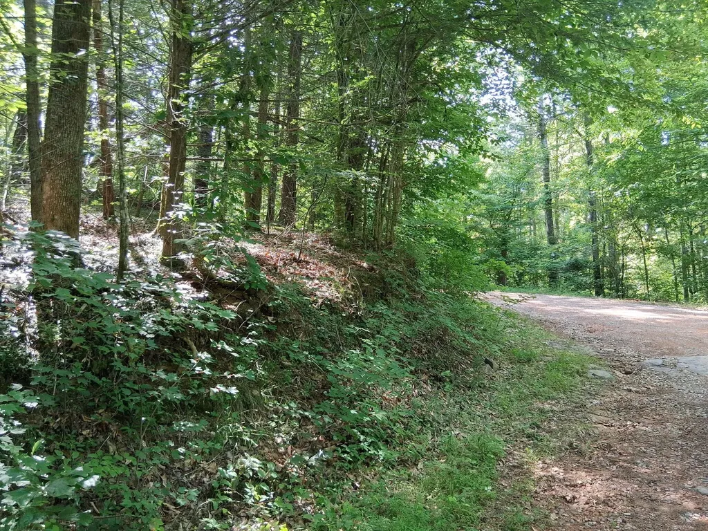 0 Tinker Branch Road Reliance TN 37369