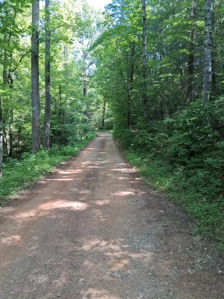 0 Tinker Branch Road Reliance TN 37369