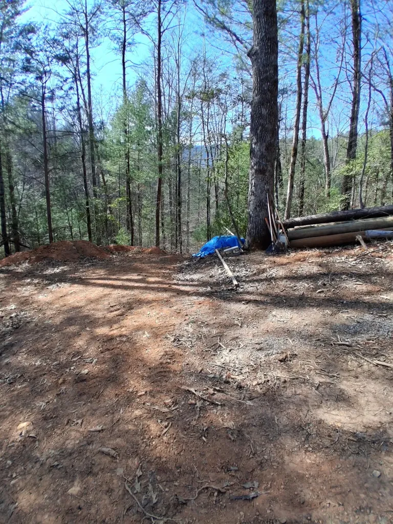0 Tinker Branch Road Reliance TN 37369