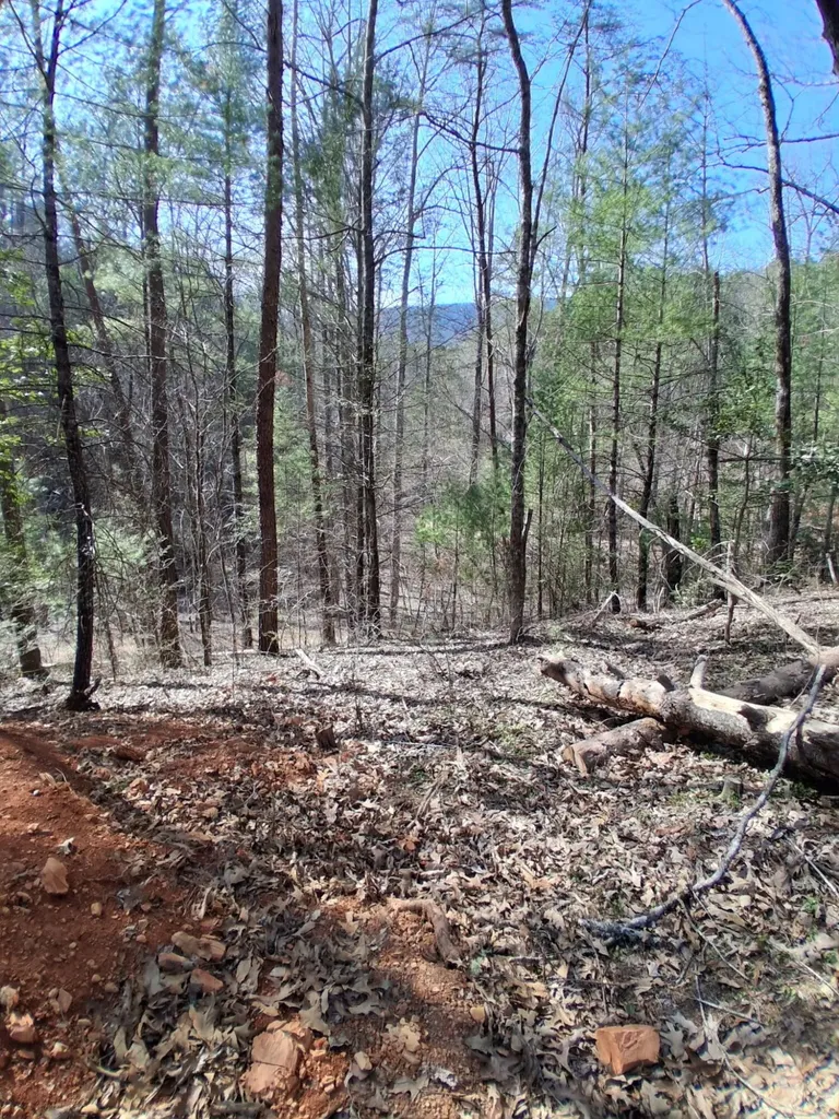 0 Tinker Branch Road Reliance TN 37369