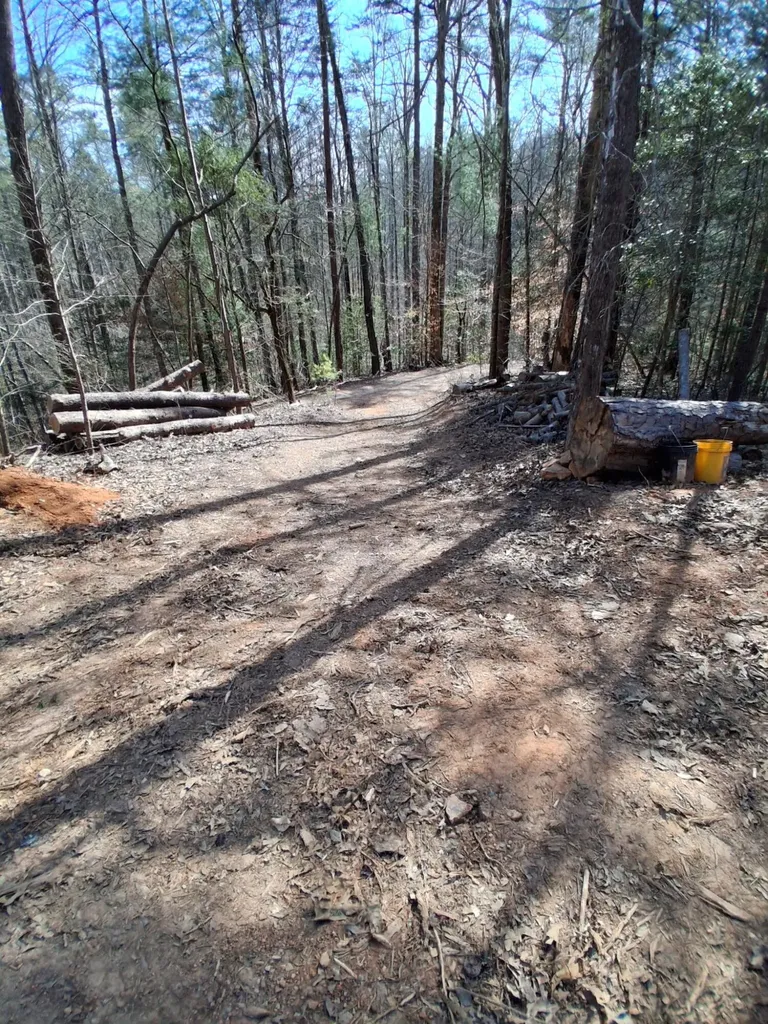 0 Tinker Branch Road Reliance TN 37369