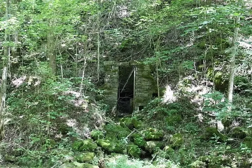 0 Old Highway 31e Westmoreland TN 37186
