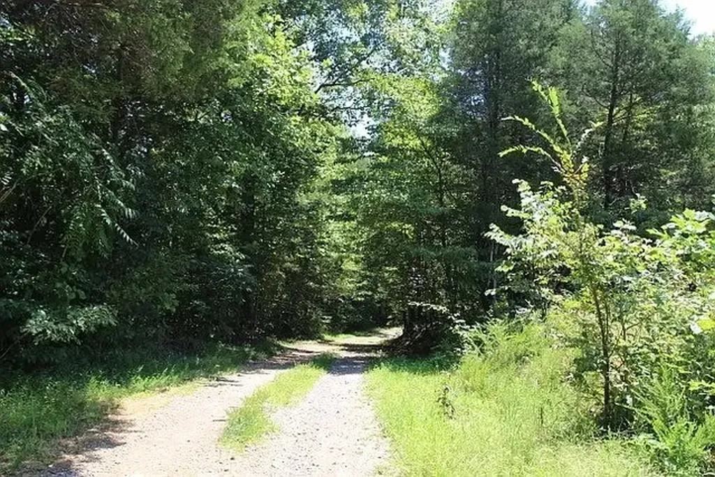 0 Old Highway 31e Westmoreland TN 37186