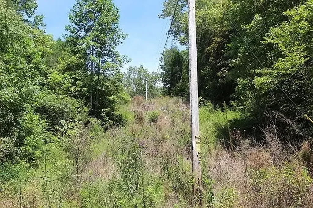 0 Old Highway 31e Westmoreland TN 37186