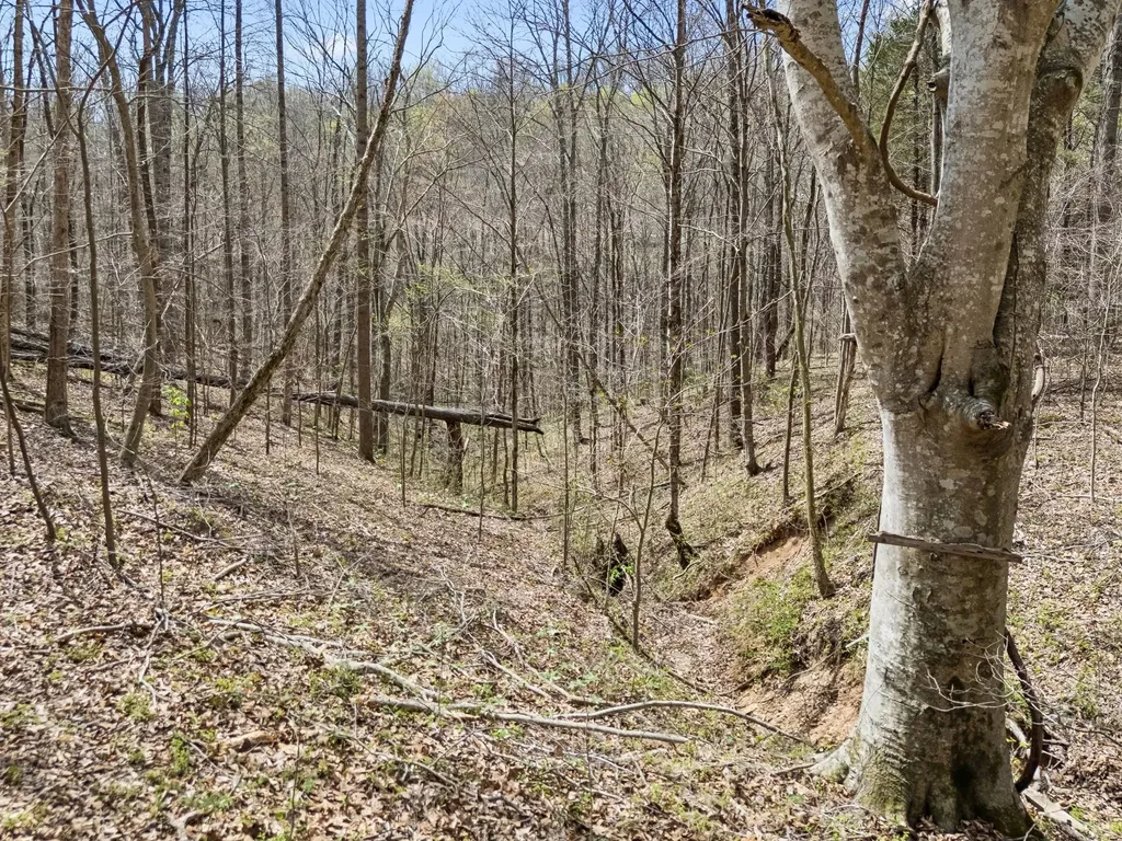0 Old Highway 31e Westmoreland TN 37186