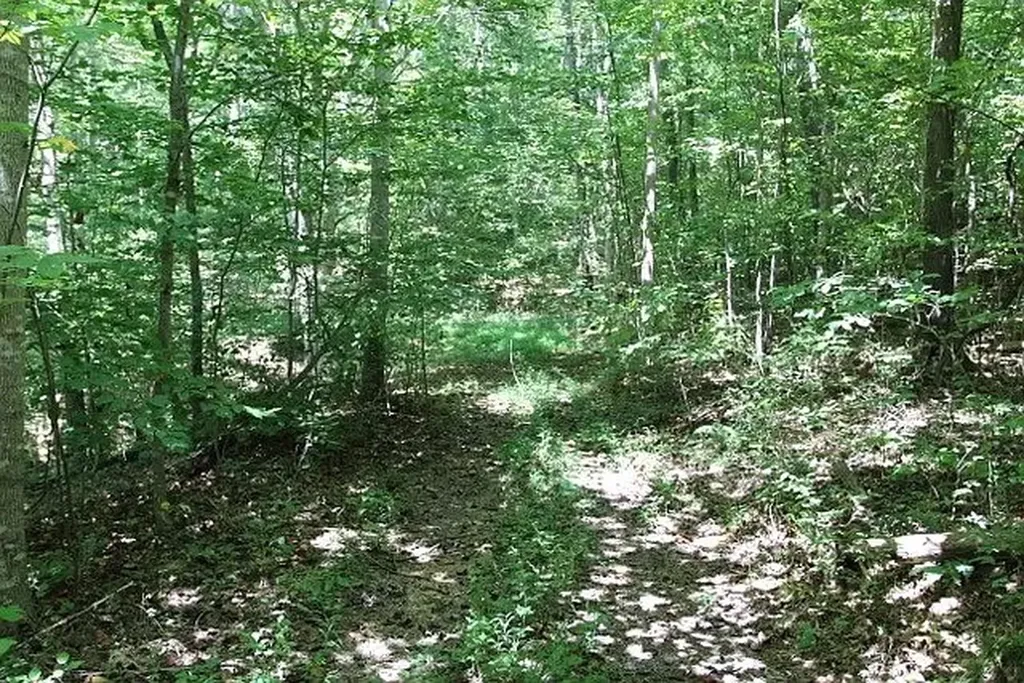 0 Old Highway 31e Westmoreland TN 37186