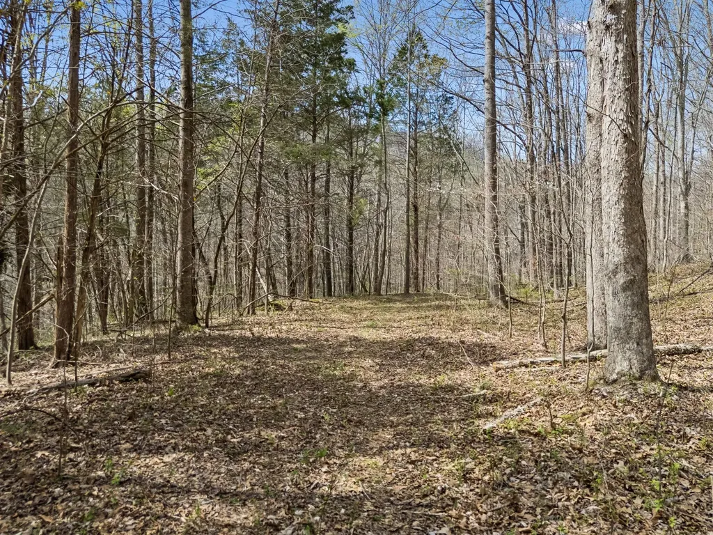 0 Old Highway 31e Westmoreland TN 37186