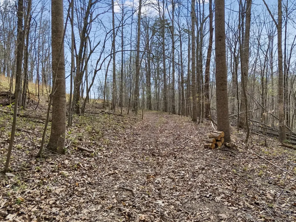 0 Old Highway 31e Westmoreland TN 37186