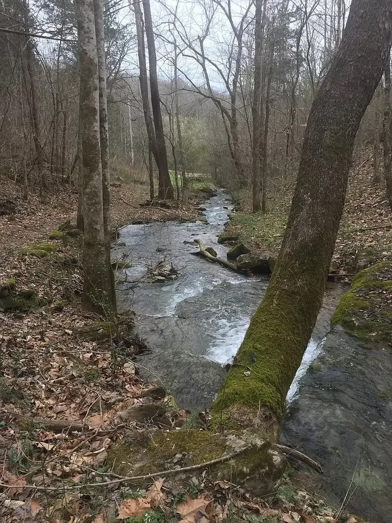 0 Old Highway 31e Westmoreland TN 37186