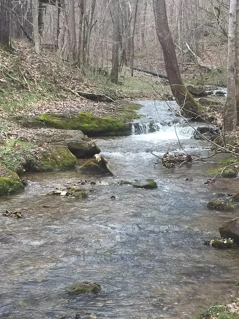 0 Old Highway 31e Westmoreland TN 37186