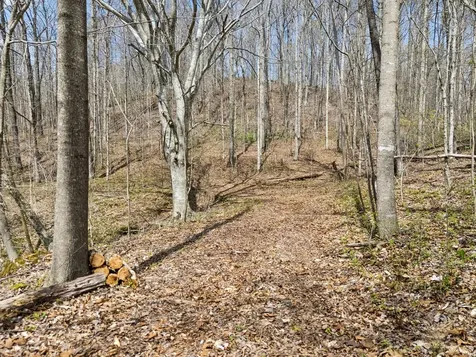0 Old Highway 31e Westmoreland TN 37186