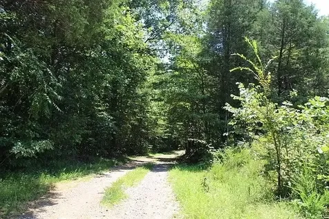 0 Old Highway 31e Westmoreland TN 37186