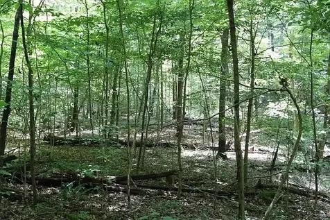 0 Old Highway 31e Westmoreland TN 37186