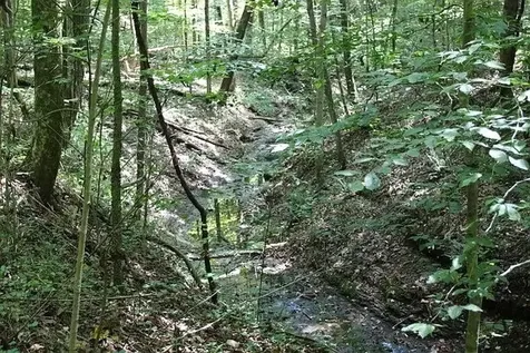 0 Old Highway 31e Westmoreland TN 37186