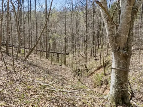 0 Old Highway 31e Westmoreland TN 37186