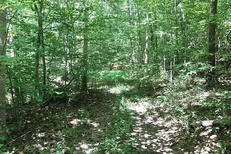 0 Old Highway 31e Westmoreland TN 37186