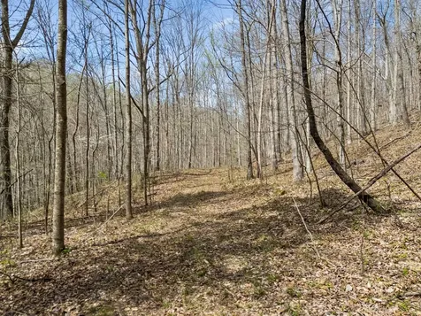0 Old Highway 31e Westmoreland TN 37186