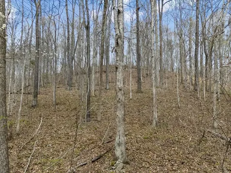 0 Old Highway 31e Westmoreland TN 37186