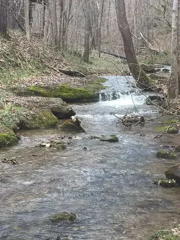 0 Old Highway 31e Westmoreland TN 37186