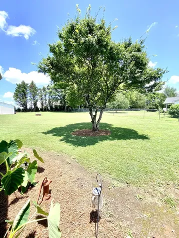 106 Chattin Street Winchester TN 37398