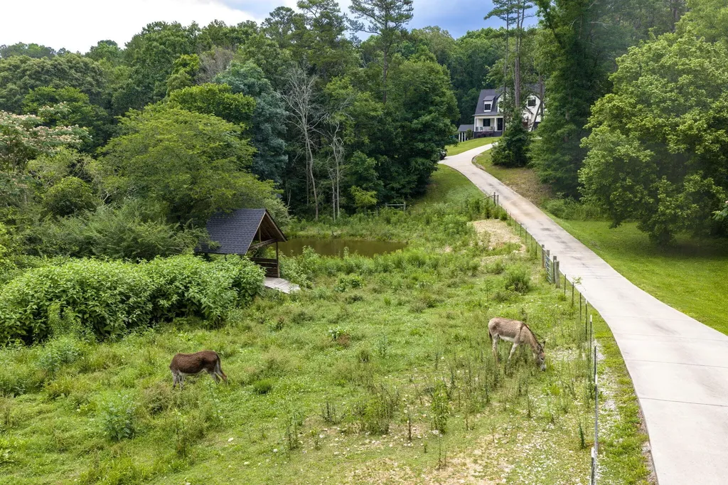 3057 Burning Bush Road Ringgold GA 30736