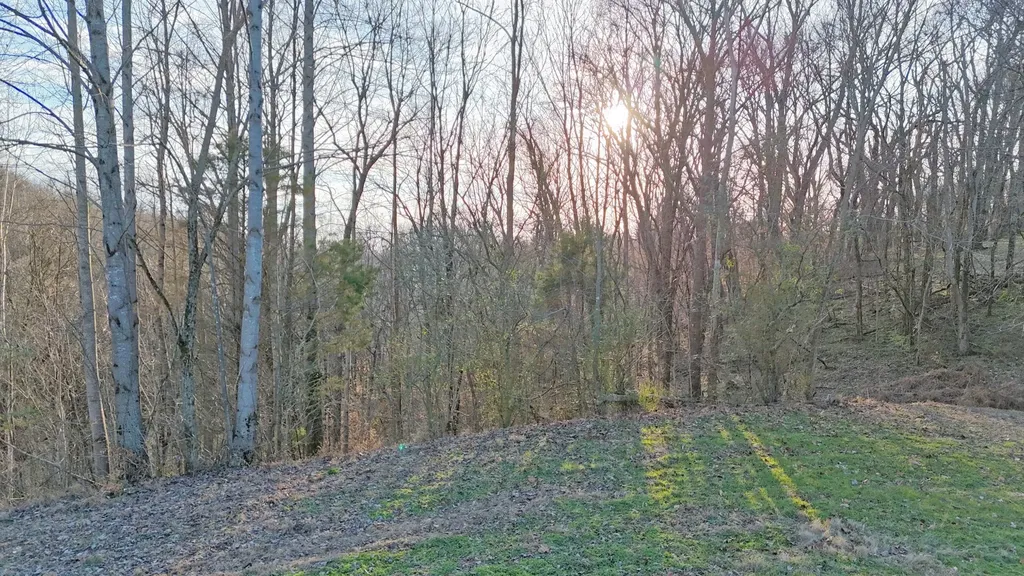 0 New Highway 7 Columbia TN 38401