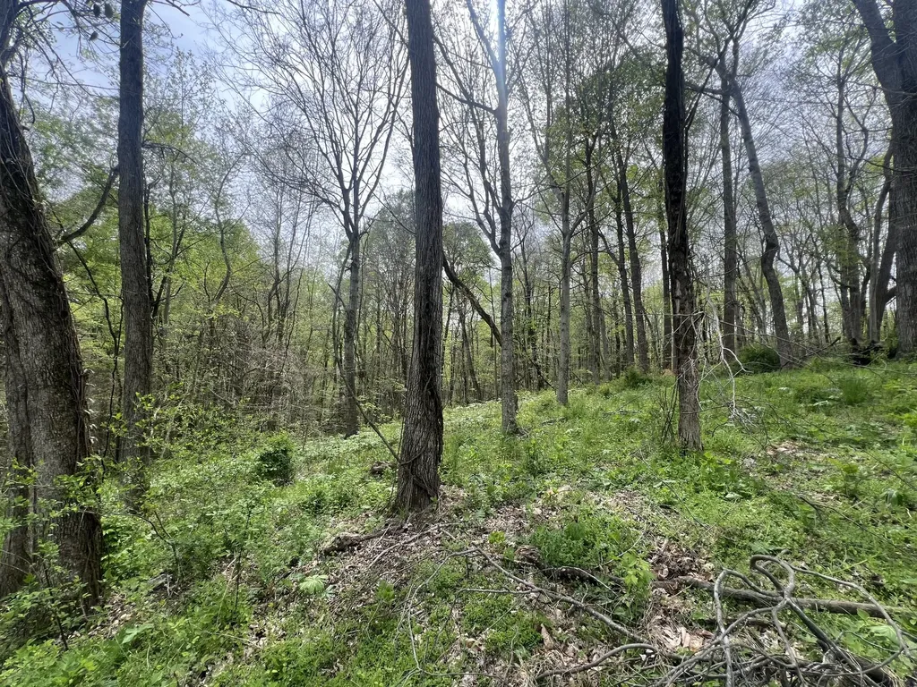 200 Lake Ridge Road Scottsville KY 42164