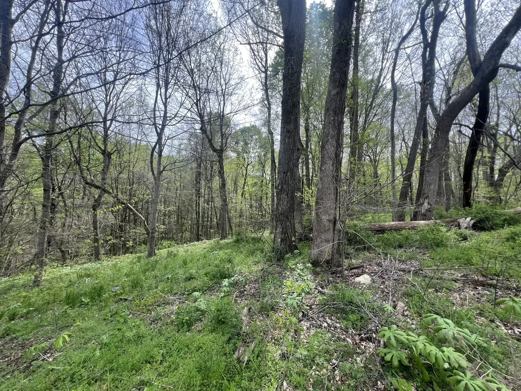 200 Lake Ridge Road Scottsville KY 42164