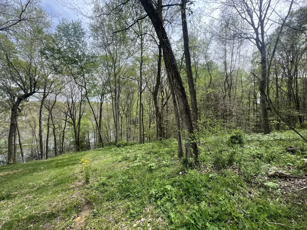 200 Lake Ridge Road Scottsville KY 42164