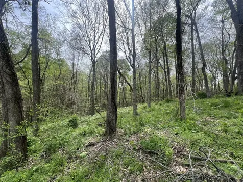 200 Lake Ridge Road Scottsville KY 42164