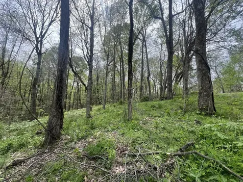 200 Lake Ridge Road Scottsville KY 42164