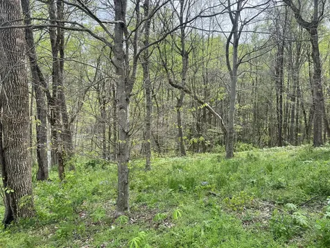 200 Lake Ridge Road Scottsville KY 42164