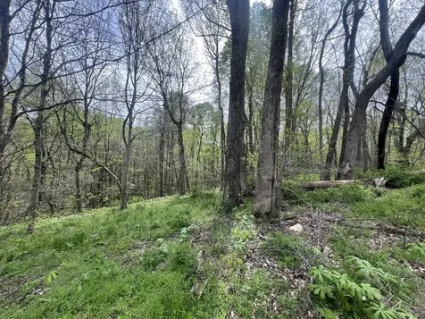 200 Lake Ridge Road Scottsville KY 42164