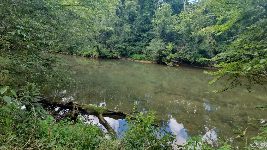 219 Thomas Farms Lane Morrison TN 37357