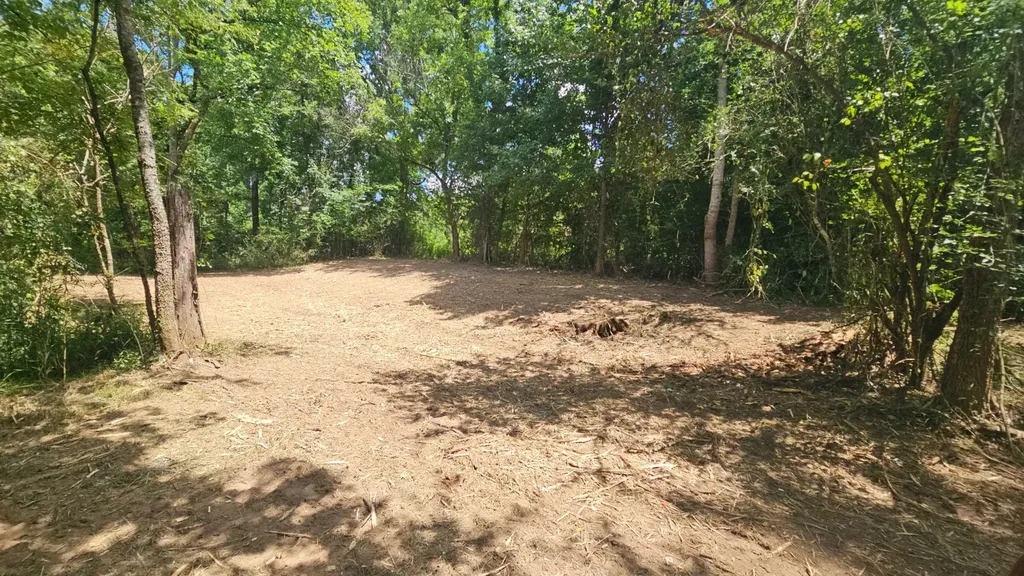 219 Thomas Farms Lane Morrison TN 37357